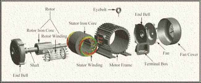 Induction Motor: Important Types, Construction & Working