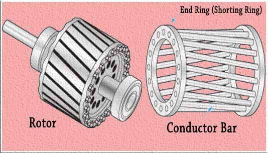 Squirrel Cage Induction Motor: Working and Best Applications