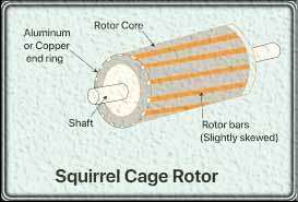 Squirrel Cage Rotor induction motor