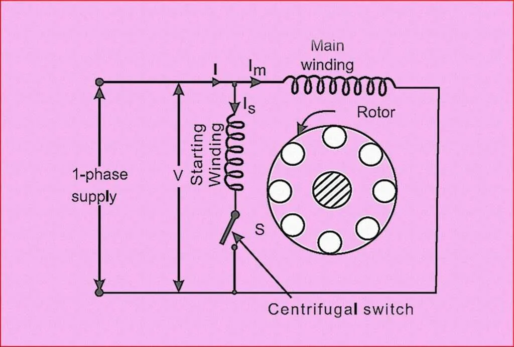 Split Phase Induction Motor: Working & Best Applications