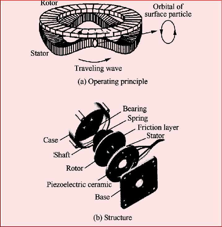 Ultrasonic Motor Working and Construction - Detailed illustration of the inner workings and construction of an ultrasonic motor.