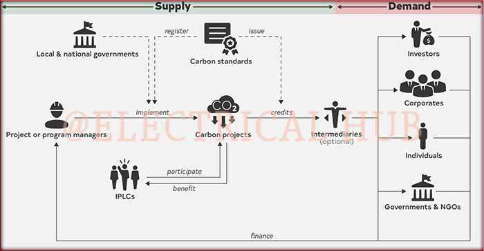 How Carbon Credits Get Paid - Visual representation illustrating the payment process for carbon credits.