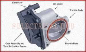 Throttle Position Sensor - Automotive Sensor