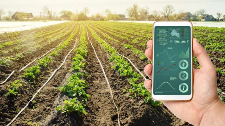Precision Agriculture Soars: A Technological Revolution in Farming